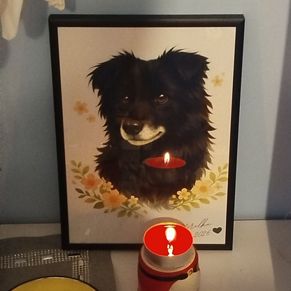 Portret Pupila ze Zdjęcia