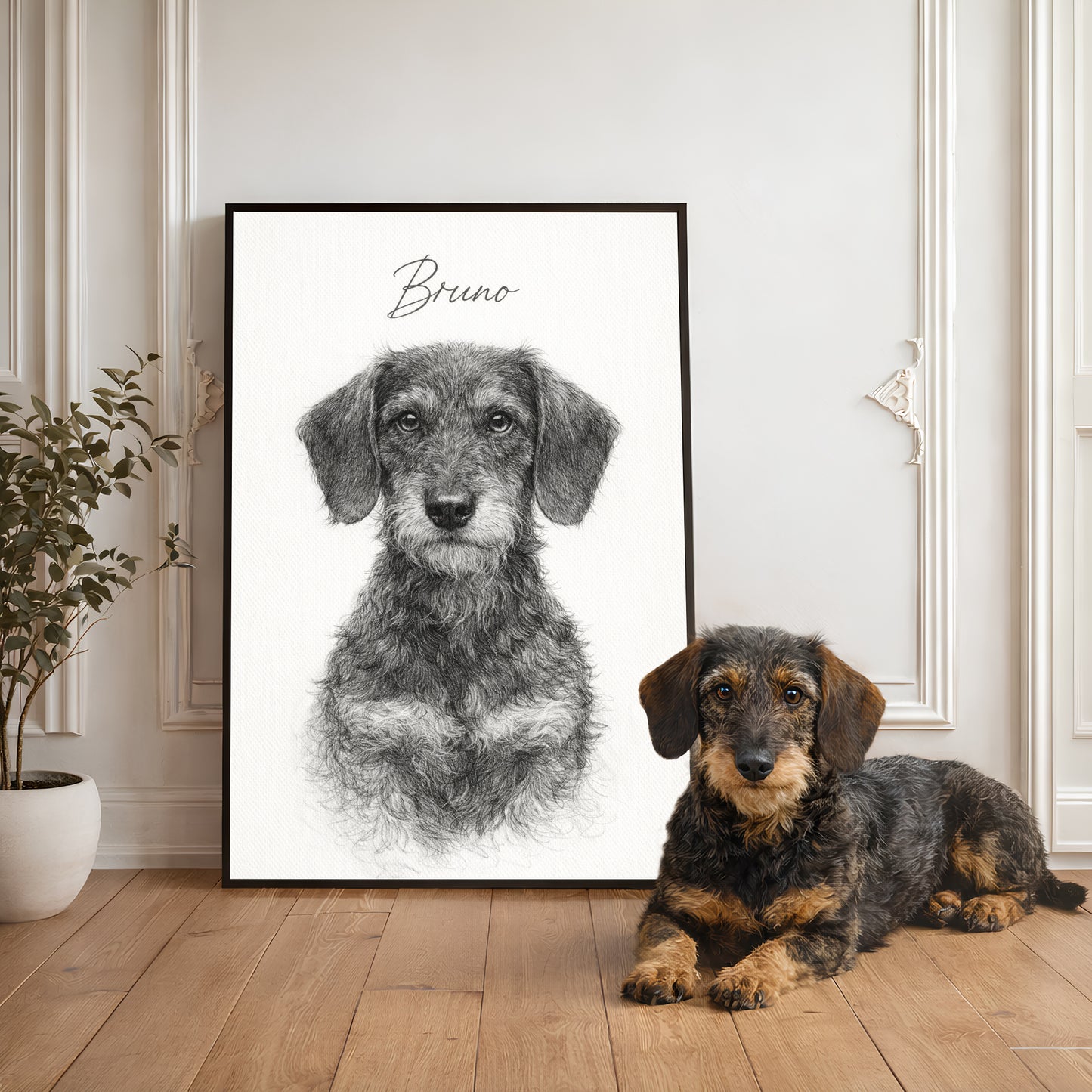 Klasyczny Portret Pupila